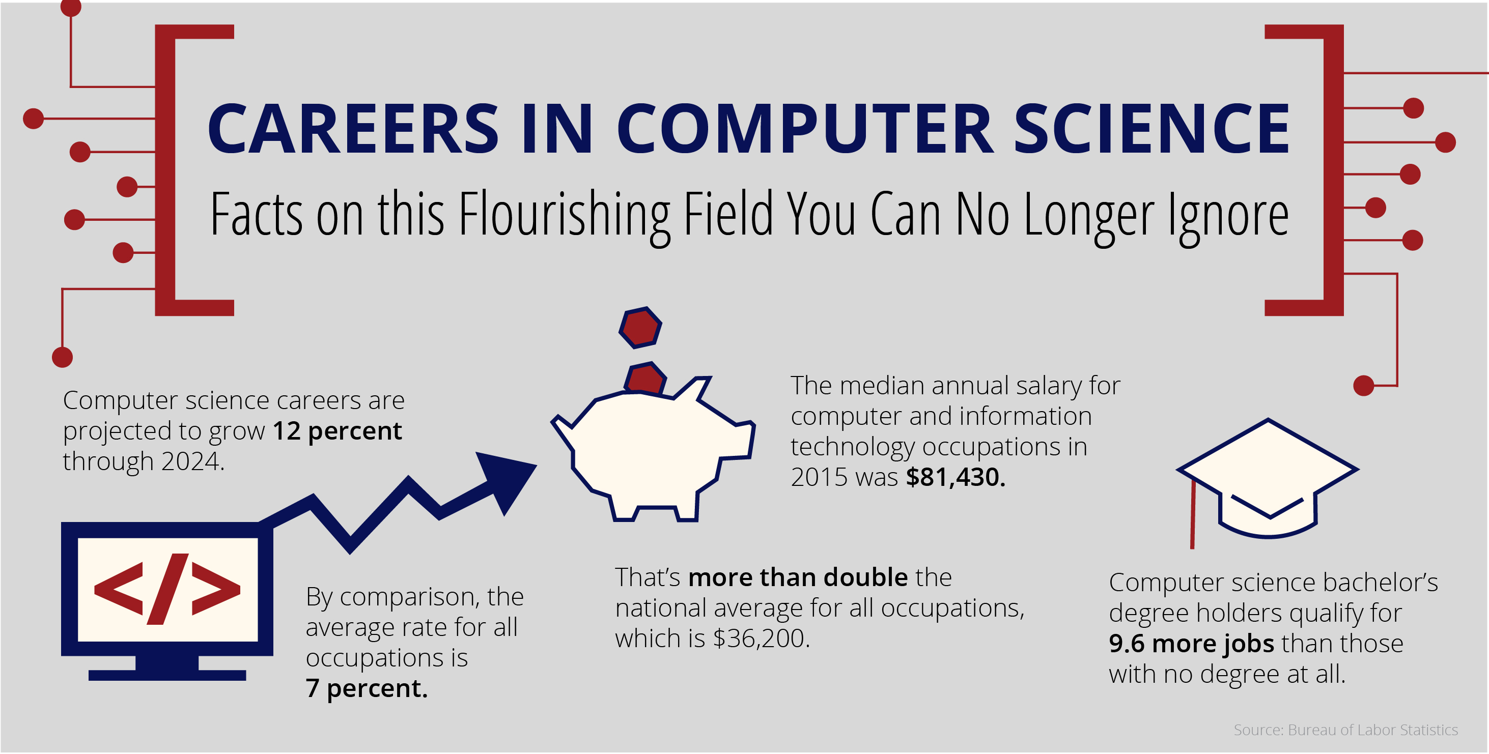 Infographic About Careers in CIS statistics